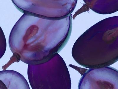 Caudalie, Fransız Bağlarından Gelen Doğal Güzelliği Sunuyor